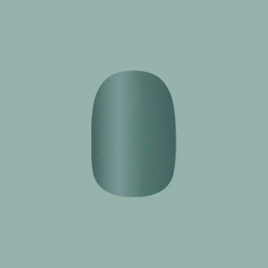 Still Life of Flowers - Tab Press-On | Extra Short | Round